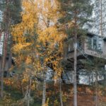 Vogelnest Baumhaus im herbstlichen Wald der Lodge Granö Beckasin © Granö Beckasin