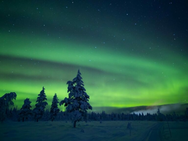 Nordlichter im ©Northern Lights Village