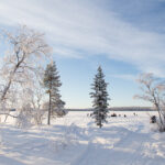 Inari Landschaft ©Visit Inari