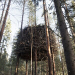 Bird's Nest im Treehotel © Hakan Stenlund/Swedish Lapland