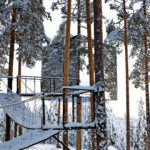 Baumzimmer Mirrorcube © Treehotel