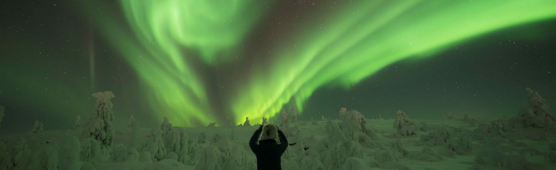 Nordlichter über dem finnischen Winterwald © Destination Lapland @ Äkäslompolo