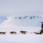 Husky-Safari © Harriniva Hotels & Safaris