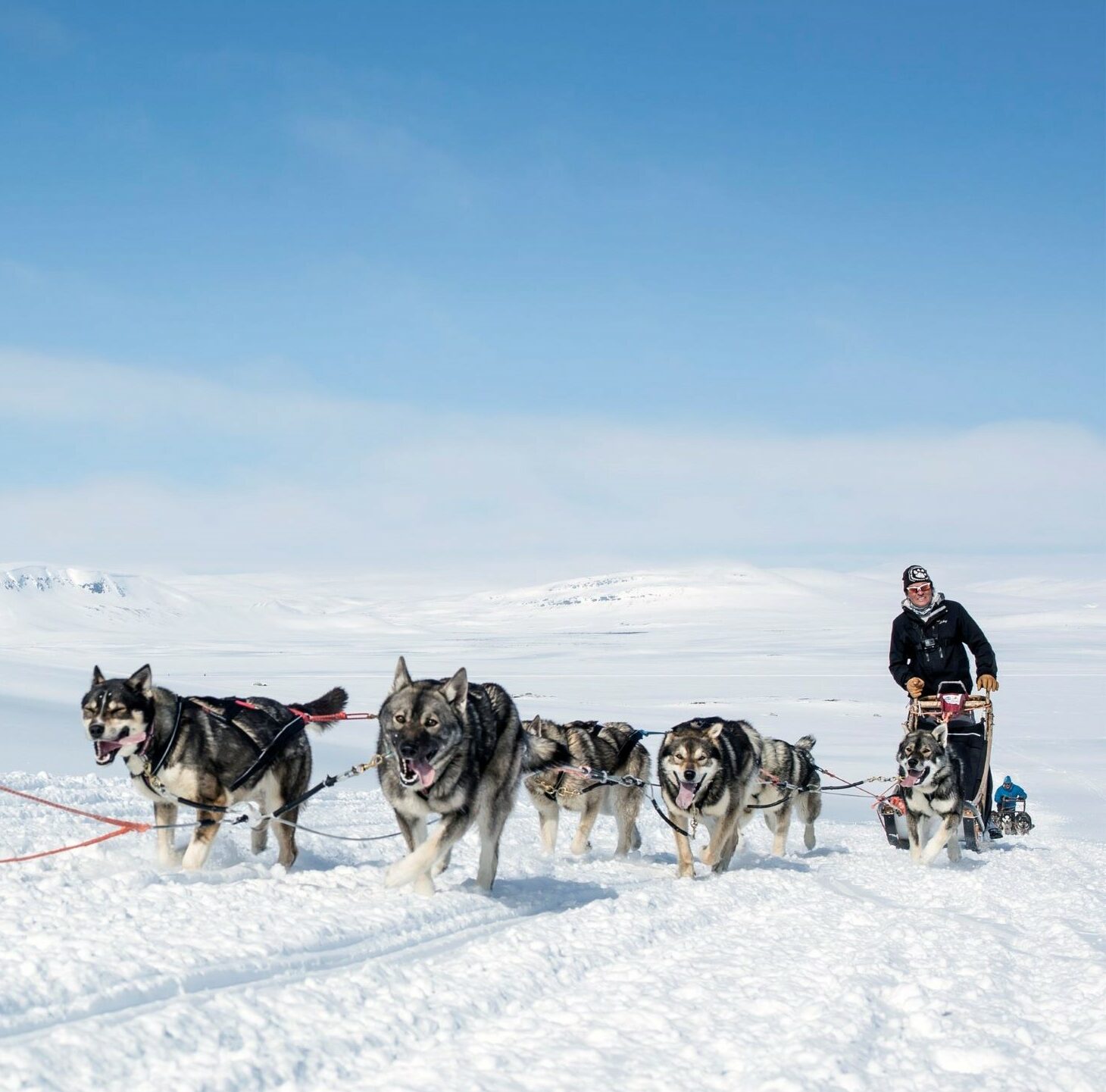 Husky-Safari © Harriniva Hotels & Safaris