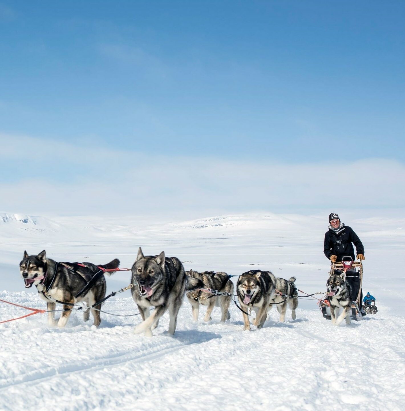 Husky-Safari © Harriniva Hotels & Safaris