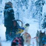 Husky-Safari © Harriniva Hotels & Safaris