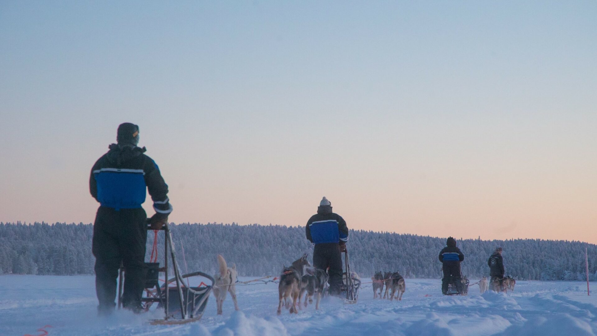 Husky-Safari © Harriniva Hotels & Safaris