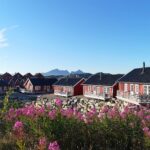 Robus hinter Blumen © Statles Rorbusenter