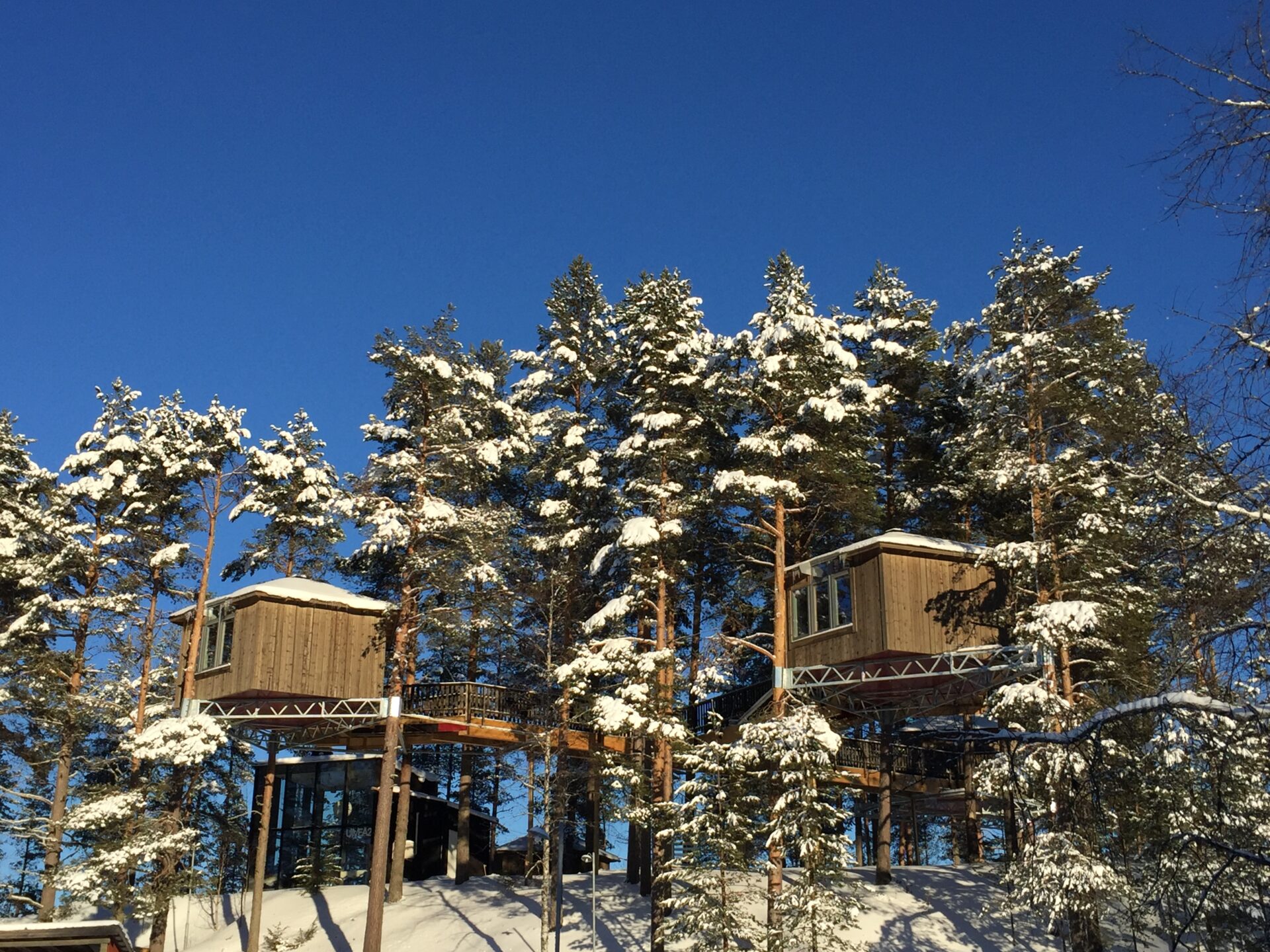 Schöner Schlafen im Baumhotel Granö Beckasin © Granö Beckasin