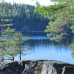 Umgeben vom Nuuksio Nationalpark © Haltia Lake Lodge