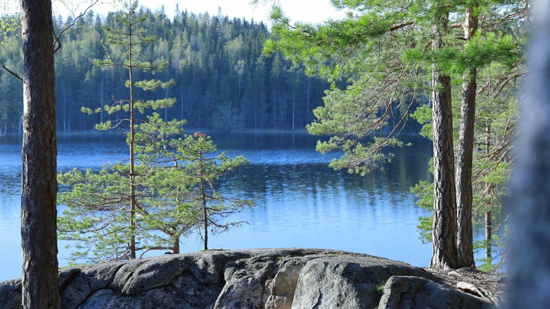 Umgeben vom Nuuksio Nationalpark © Haltia Lake Lodge