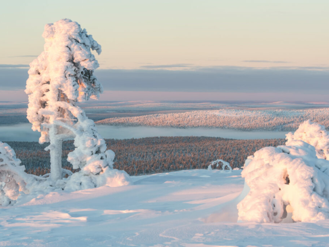 Verschneite Landschaft in Lappland ©Markus Kiili, Visit Finland