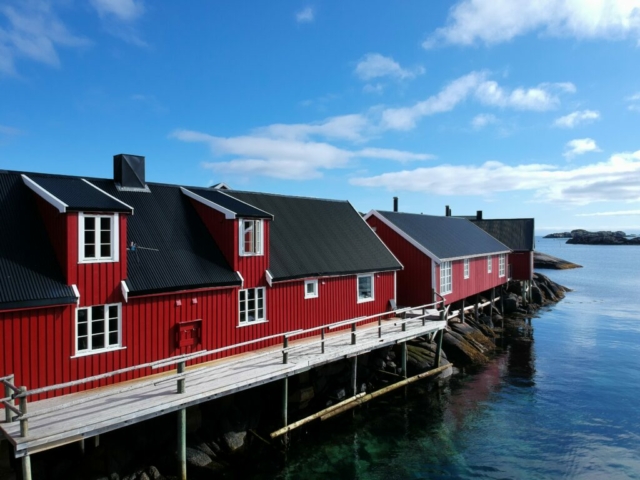 Robus der Statles Rorbusenter © Statles Rorbusenter