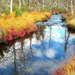 Goldener Herbst in Lappland © Vastavalo/Seppo Alatalo/Visit Finland