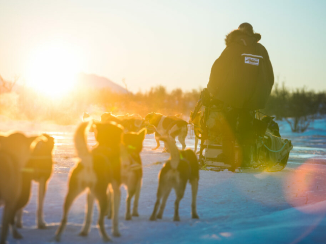 Husky-Safari © Tromsø Villmarksenter