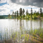 Naturbyn in Långserud, Värmland © Jacque de Villiers/imagebank.sweden.se