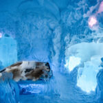 Art Suite im ICEHOTEL ©Jonathan Paul, Asaf Kliger, ICEHOTEL