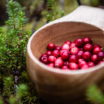 Lingonbeeren © Ted Logart/imagebank.sweden.se