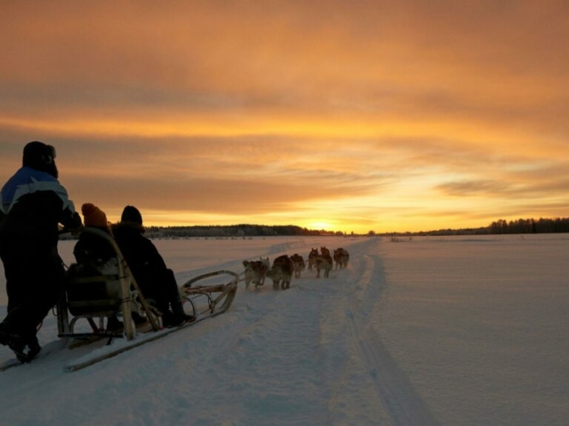 Mit dem Hundeschlitten in den Sonnenuntergang © GraemeRichardson