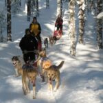 Mit den Huskys durch Nordkarelien © Eräkeskus Wilderness Lodge
