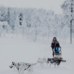 Husky-Safari in verschneiter Landschaft © Granö Beckasin