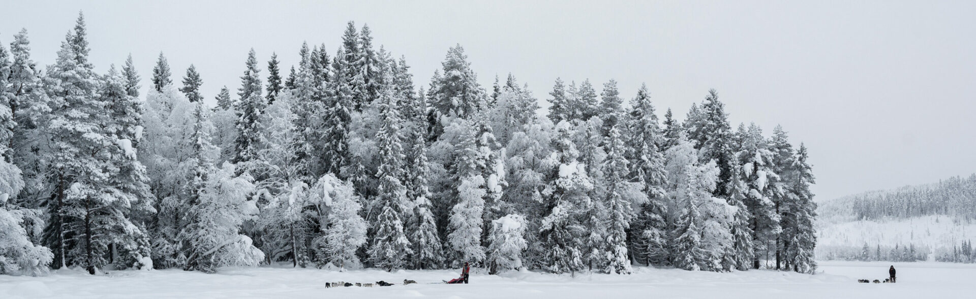 Husky-Safari © Håkan Stenlund, Swedish Lapland