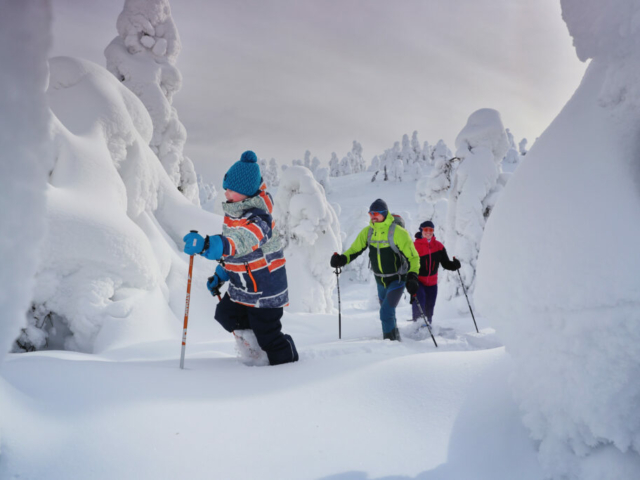 Abenteuer im Schnee © Harri Tarvainen, Visit Finland