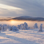 Winterlandschaft in Levi © Visit Levi