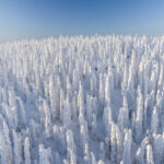 Syöte Nationalpark ©Mika Viitanen, Visit Finland