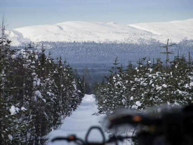 Motorschlittenfahrt © Wild Nordic
