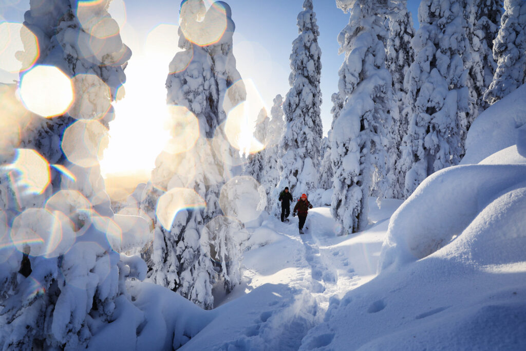 Schneeschuhwanderung durch verschneite Landschaft Finnlands ©Harri Tarvainen, Visit Karelia