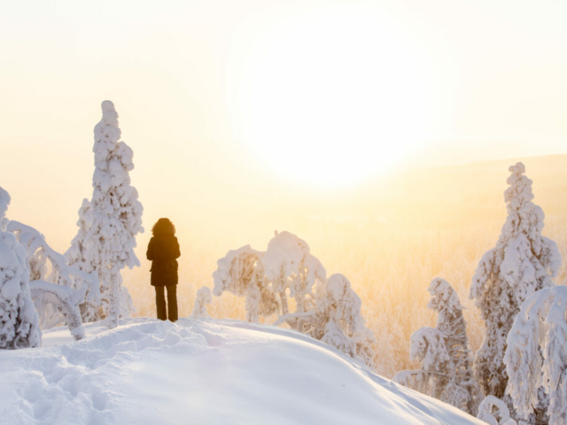 Winterlandschaft Finnland ©Vuokatti