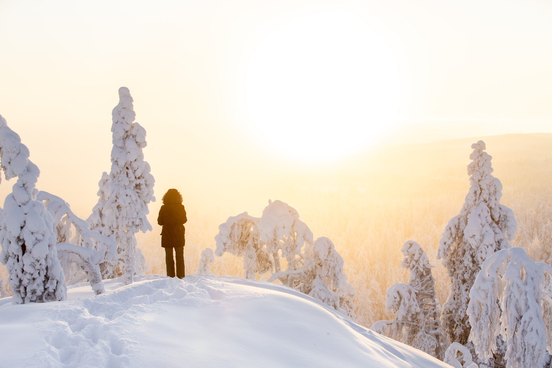 Winterlandschaft Finnland ©Vuokatti