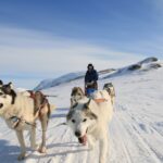 Huskytour in Schwedisch Lappland © Jukkasjärvi Vildmarksturer