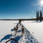 Unterwegs mit dem Hundeschlitten © Lotti Husky