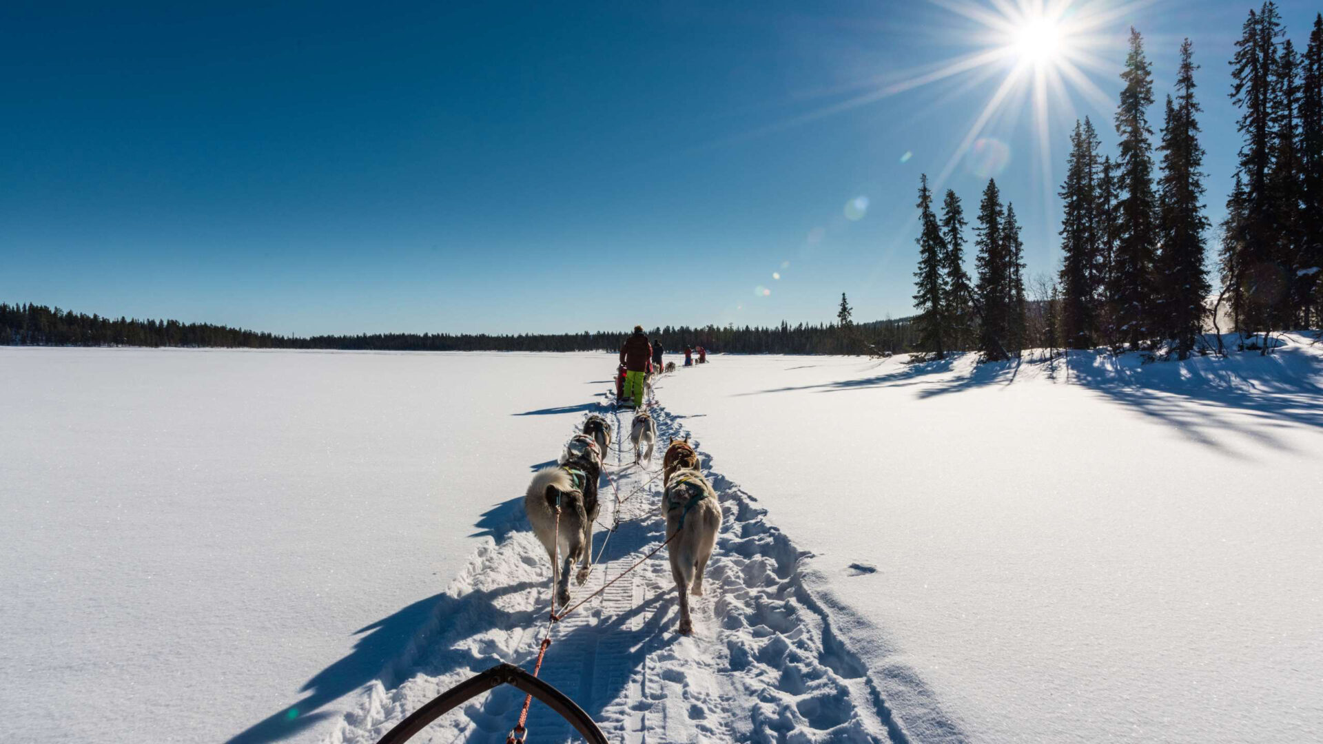 Unterwegs mit dem Hundeschlitten © Lotti Husky