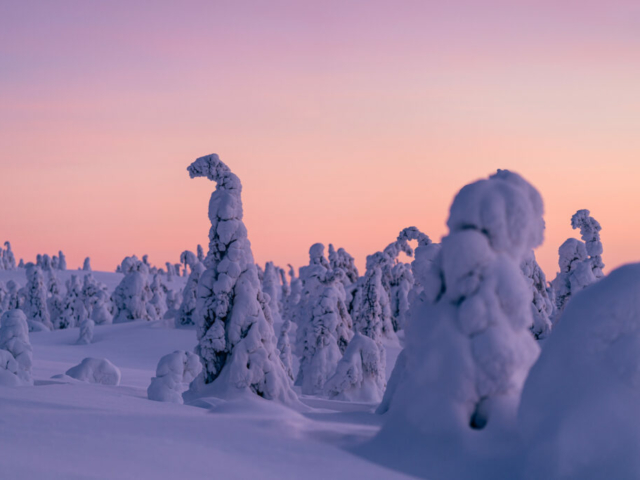 Winterlandschaft © Ted Logart, Swedish Lapland