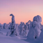 Winterlandschaft © Ted Logart, Swedish Lapland