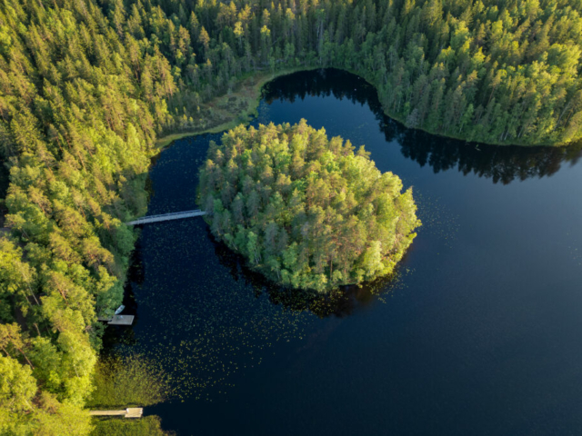 Nuuksio Nationalpark © Hanna Saari, Visit Espoo