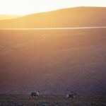 Lappland im Sommer © Harri Tarvainen, Visit Finland