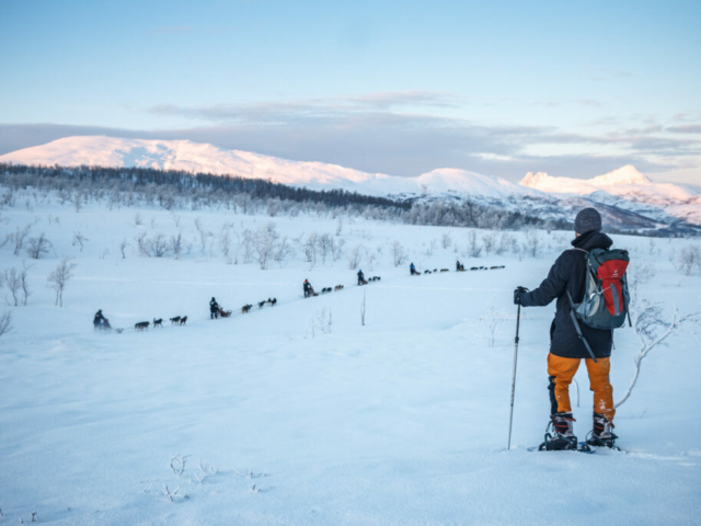 Schneeschuhwanderung und Husky-Safari Tromsø © Tromsø Villmarksenter