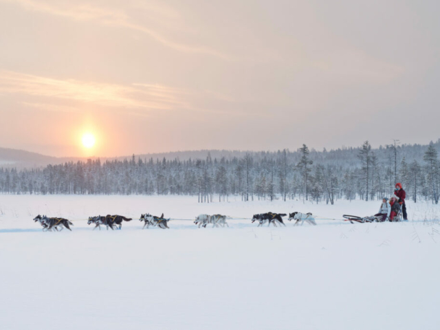 Huskytour © Anna Öhlund/imagebank.sweden.se