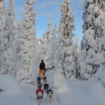 Husky-Safari in Schwedisch Lappland © Swedish Lapland
