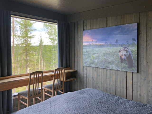 Bärenhütte © Bear Center Lentiira Finland