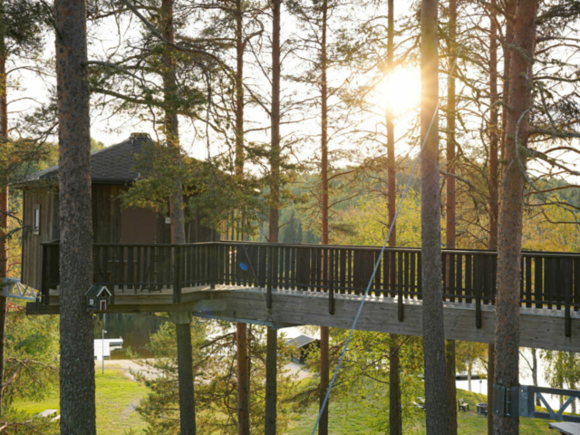 Baumzimmer Vogelnest Schwedisch Lappland © Emmie Bolmstedt, imagebank.sweden.se