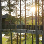 Hebst in Schwedisch Lappland © Emmie Bolmstedt, imagebank.sweden.se