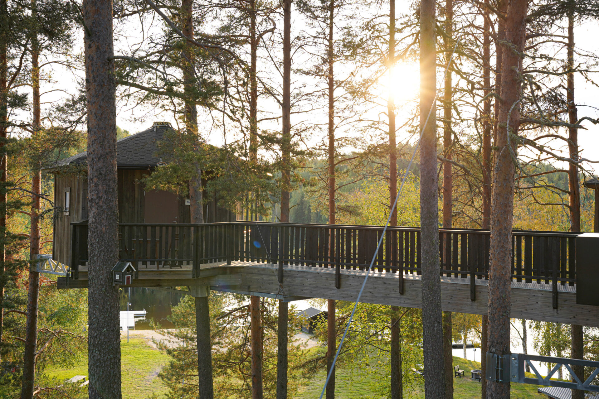 Hebst in Schwedisch Lappland © Emmie Bolmstedt, imagebank.sweden.se