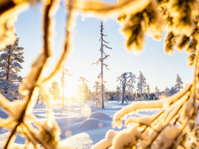 Winterlandschaft © Hilla Aspman/imagebank.sweden.se