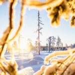 Winterlandschaft © Hilla Aspman/imagebank.sweden.se