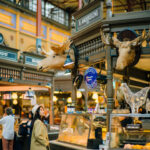 © Yirui Aries/imagebank.sweden.se